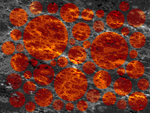 red dwarf region